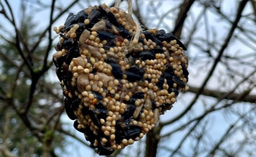 Wild Bird Seed Ornaments