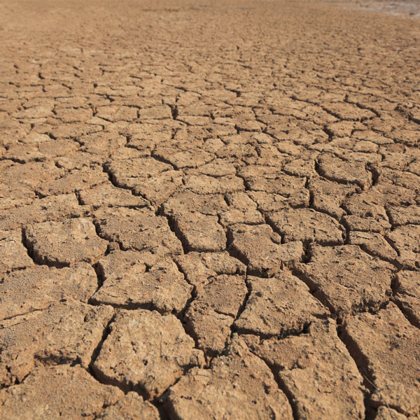 Dry Desert Earth