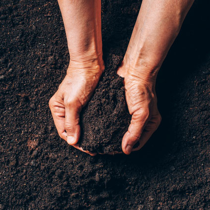 Man Holding Soil in His Hands