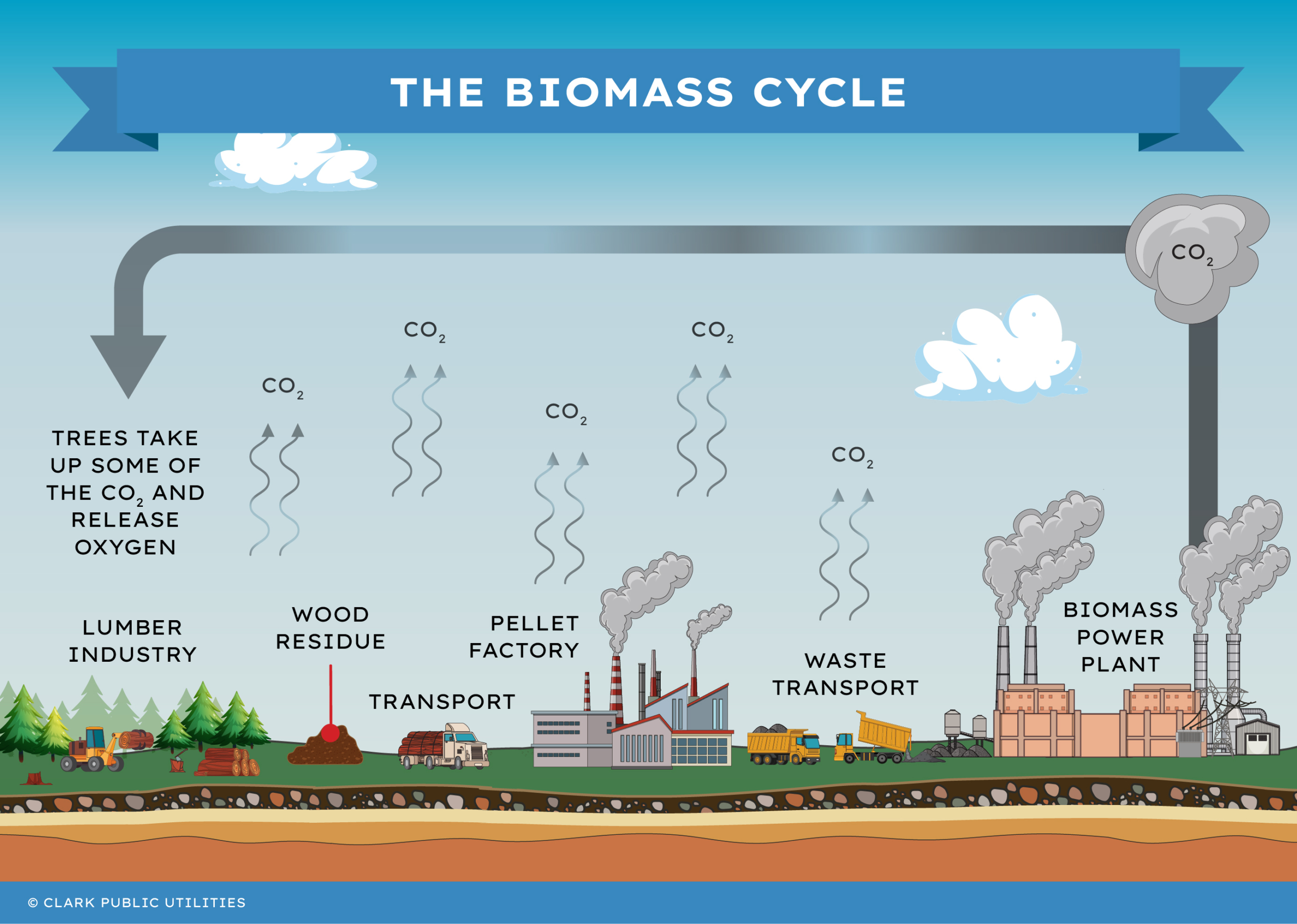 The Biomass Cycle Illustration By Clark Public Utilities