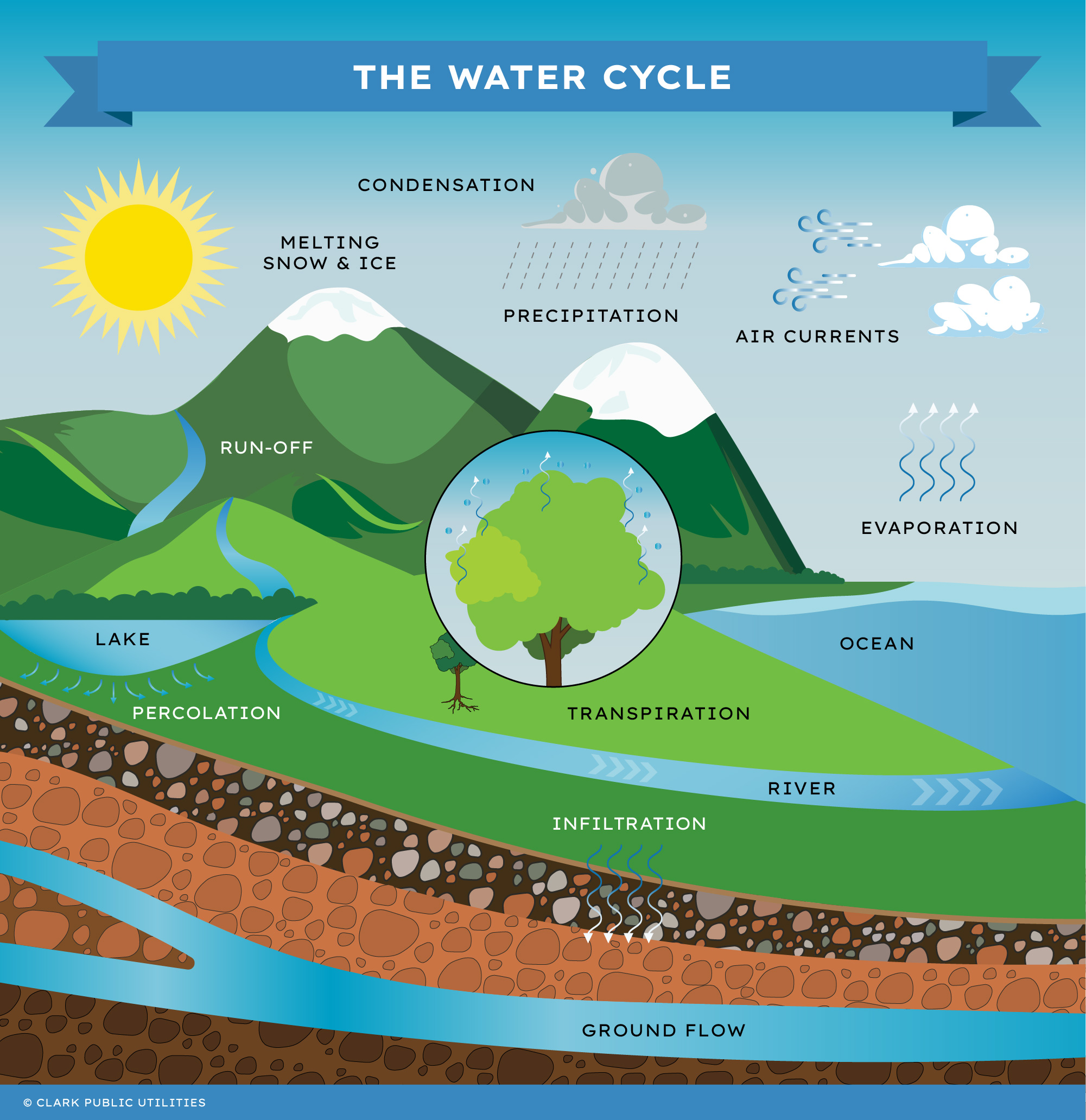 Water Cycle Illustration