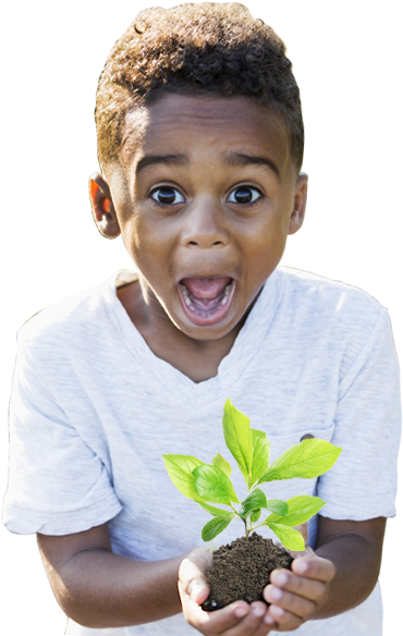 Kid holding a plant